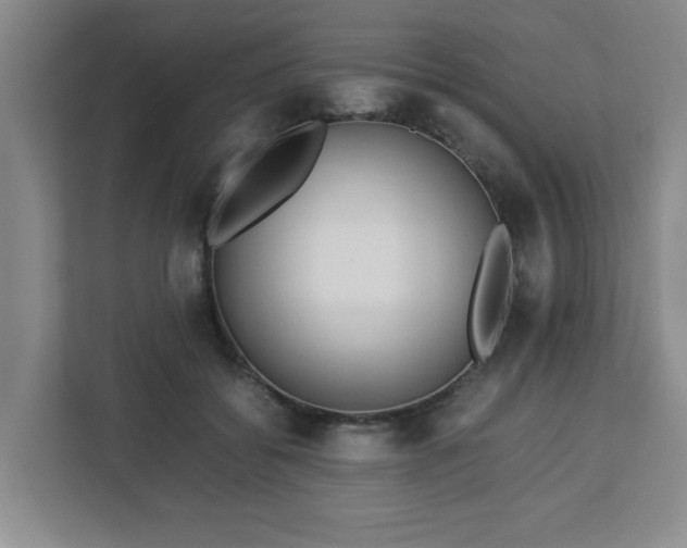 X0000113110556200909041248