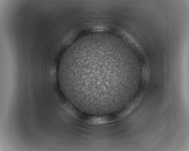 X0000113110557200909041248