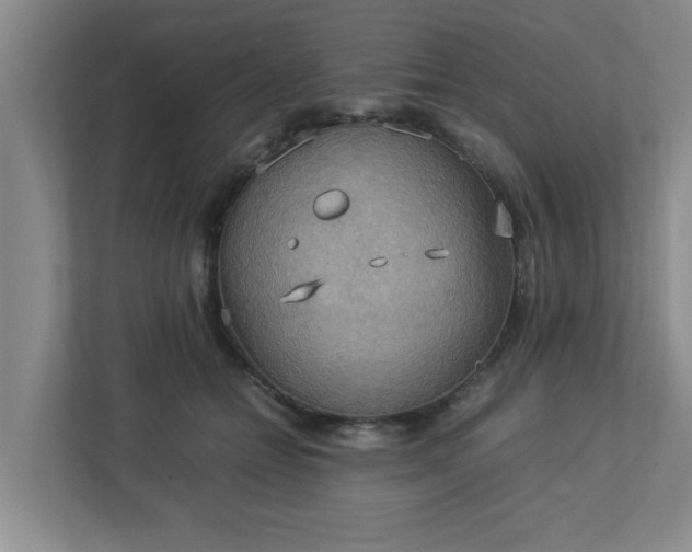 X0000113110558200909041248