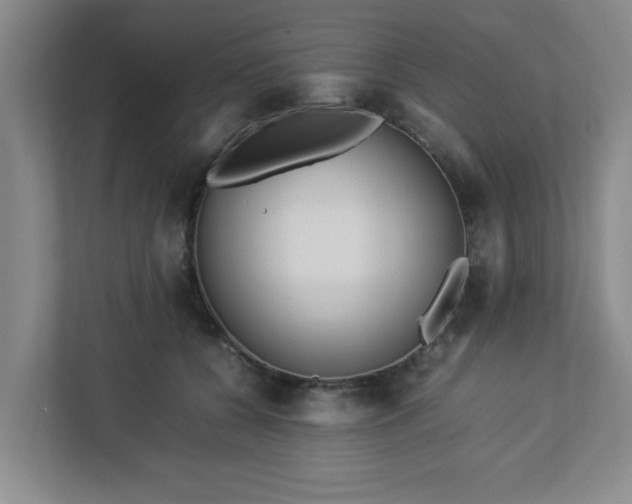 X0000113110560200909041248