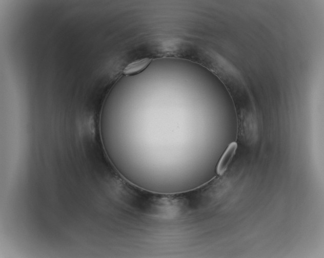 X0000113110562200909041248