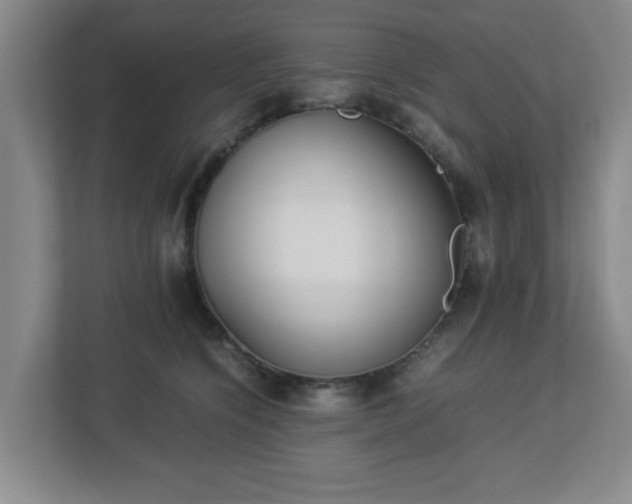 X0000113110564200909041248