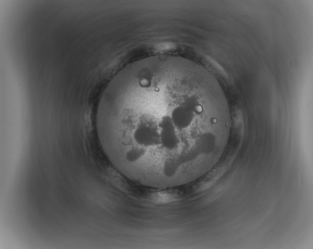 X0000113110565200909041248