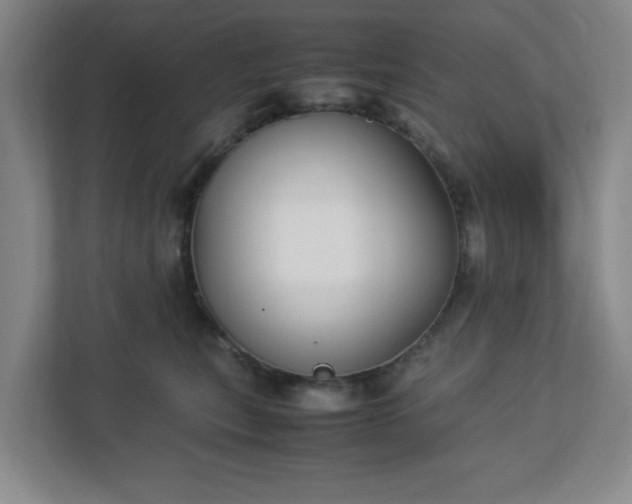 X0000113110567200909041248