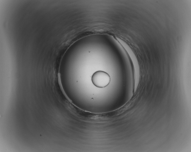 X0000113110568200909041248