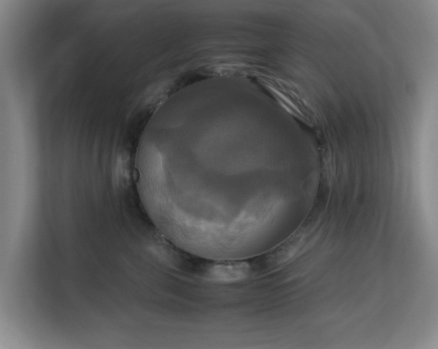 X0000113110571200909041248