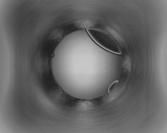X0000113110572200909041248