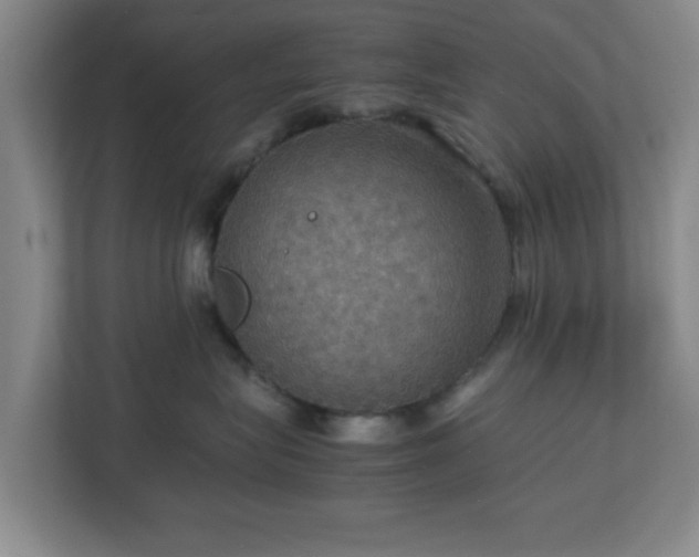 X0000113110575200909041248