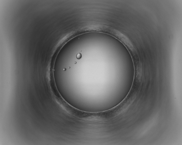 X0000113110578200909041248