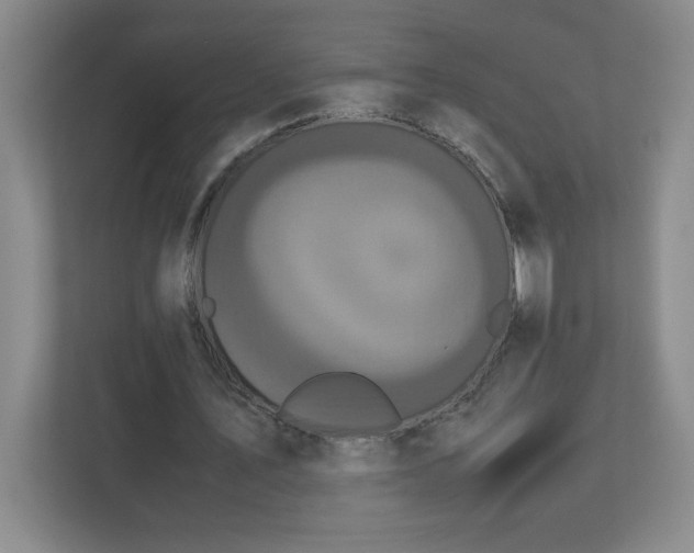 X0000113110579200909041248