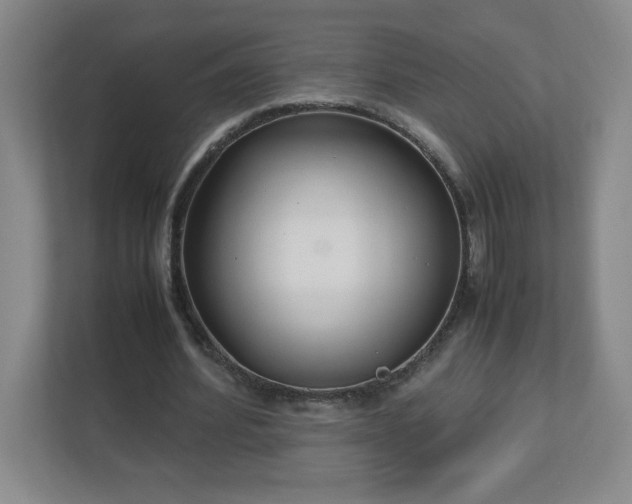X0000113110580200909041248