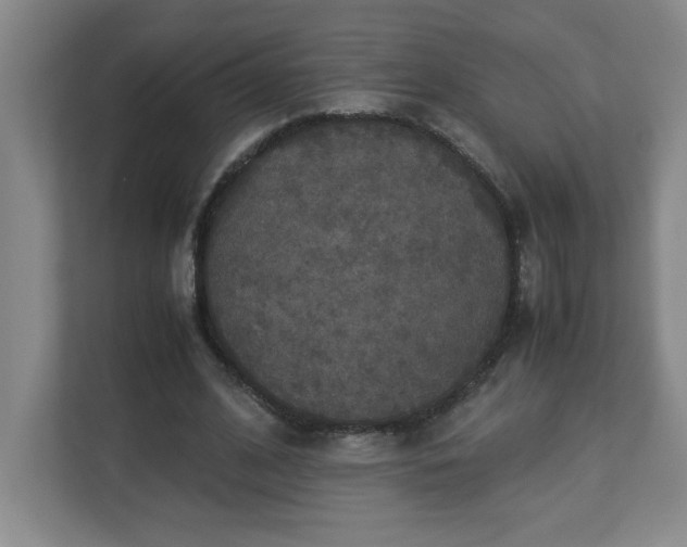X0000113110584200909041248