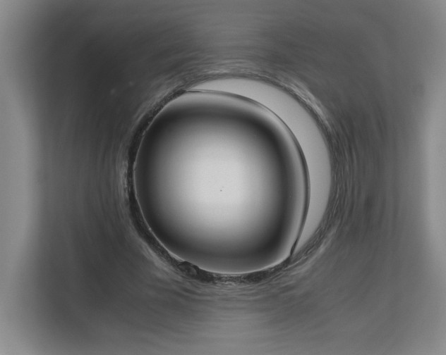 X0000113110585200909041248