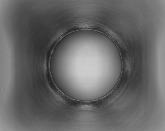 X0000113110586200909041248