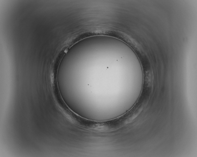 X0000113110589200909041248