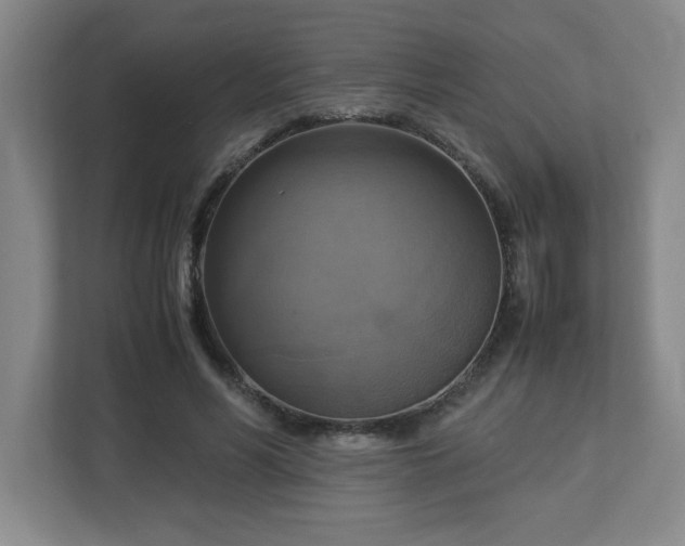 X0000113110590200909041247