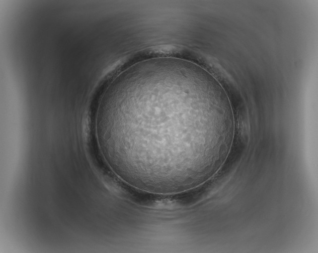 X0000113110591200909041247