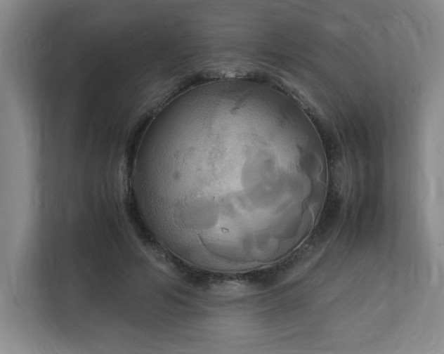 X0000113110594200909041247