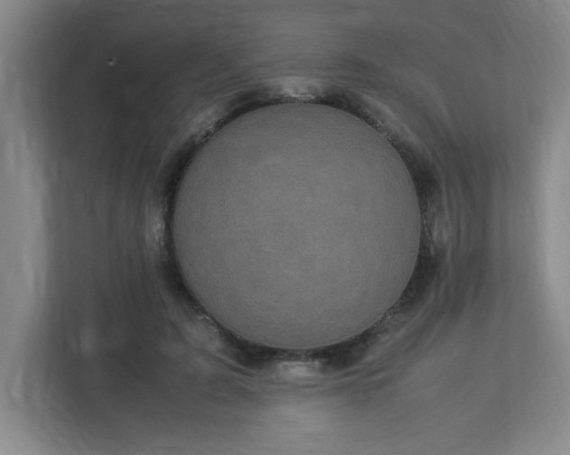 X0000113110595200909041247