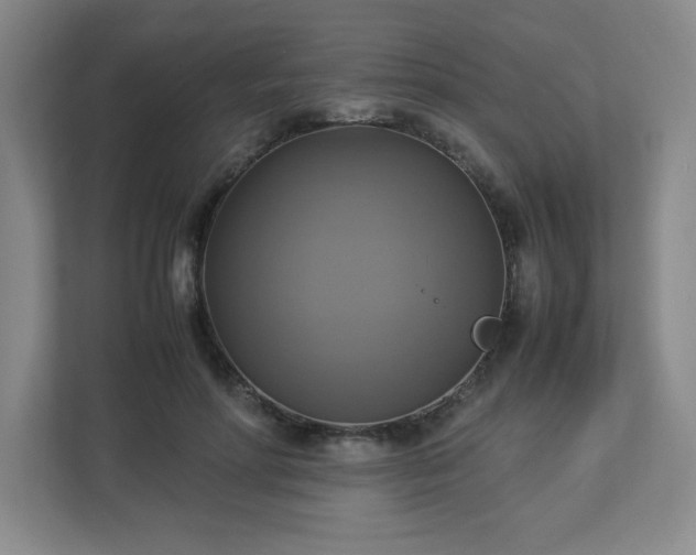 X0000113110598200909041247