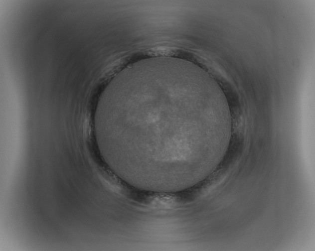 X0000113110599200909041247