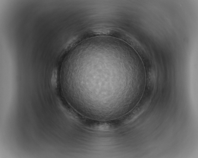 X0000113110600200909041247