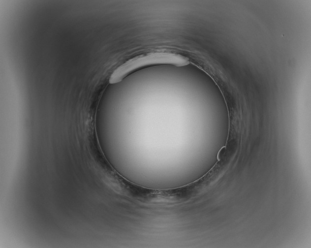 X0000113110601200909041247