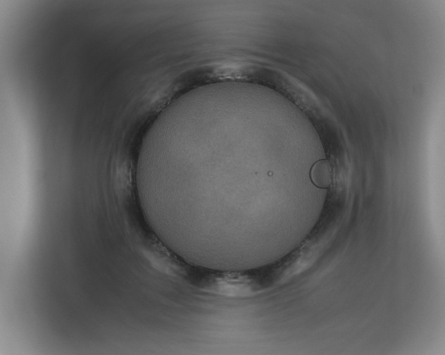 X0000113110603200909041247