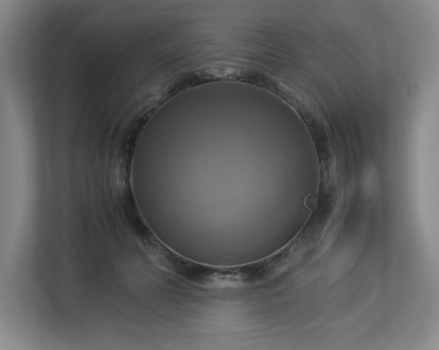 X0000113110606200909041247