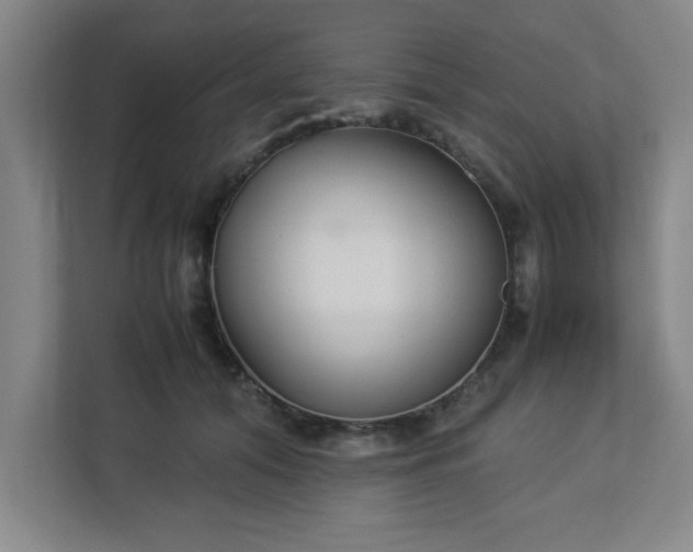 X0000113110608200909041247