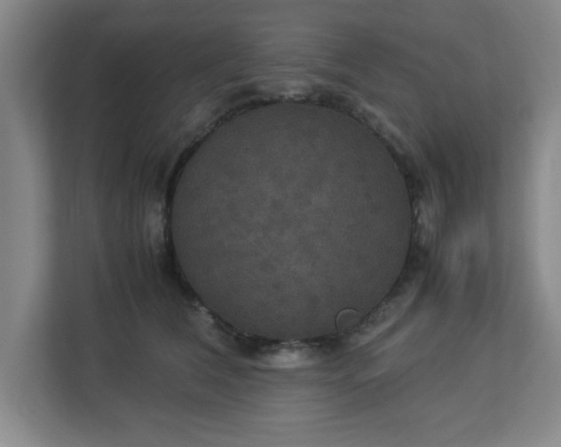 X0000113110612200909041247