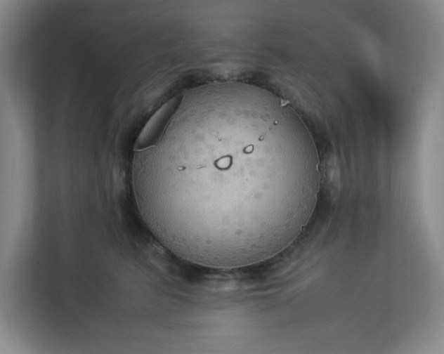 X0000113110615200909041247