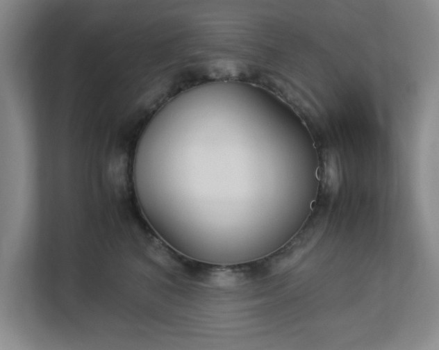 X0000113110616200909041247