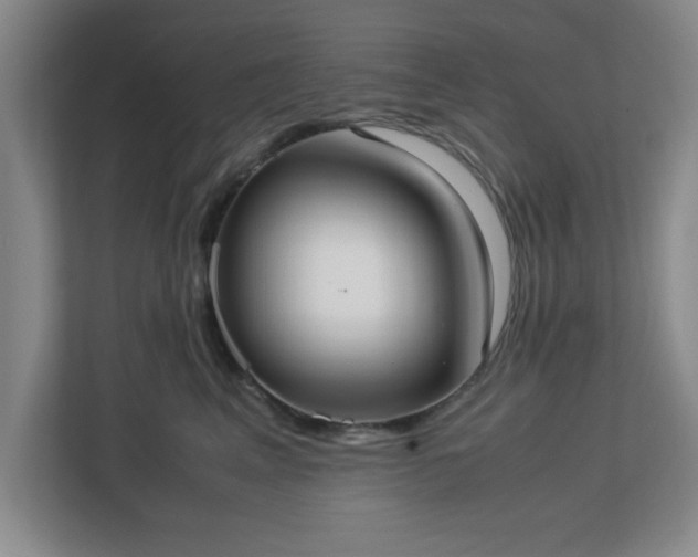 X0000113110617200909041247