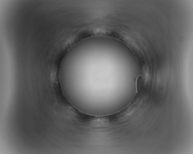 X0000113110619200909041247