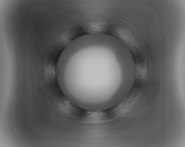 X0000113110621200909041247