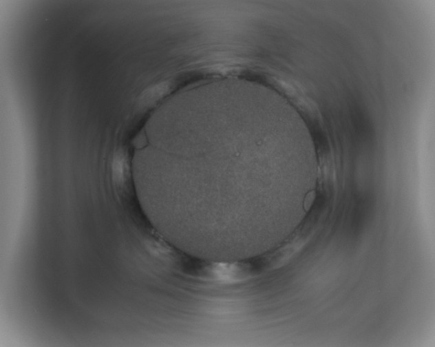X0000113110623200909041247