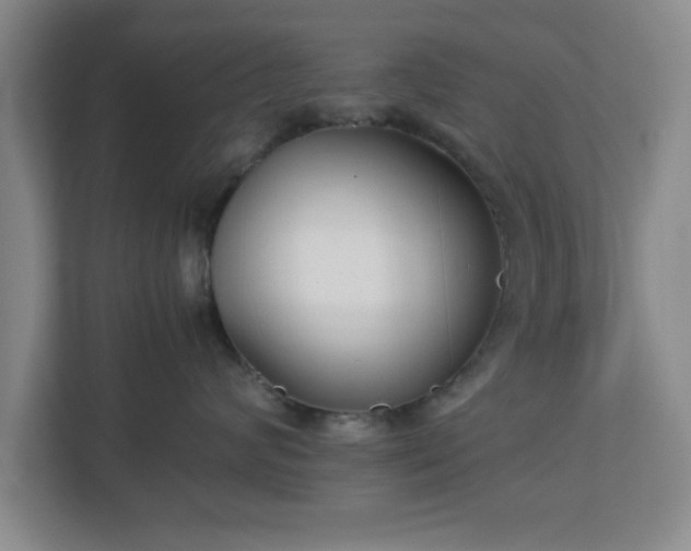 X0000113110624200909041247