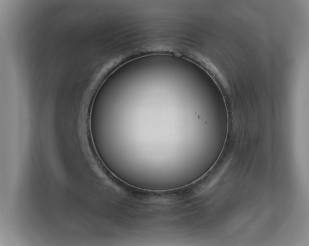 X0000113110625200909041246