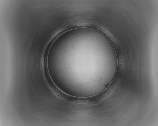 X0000113110626200909041246