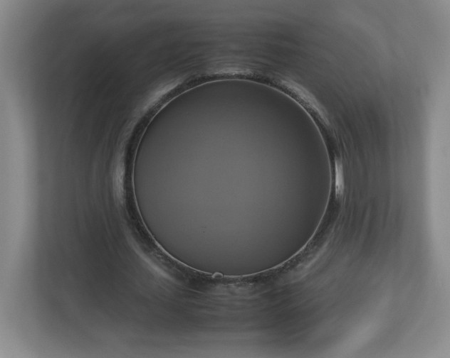 X0000113110627200909041246
