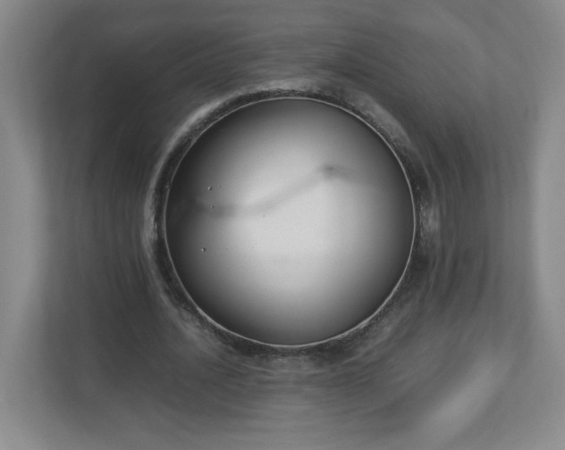 X0000113110628200909041246