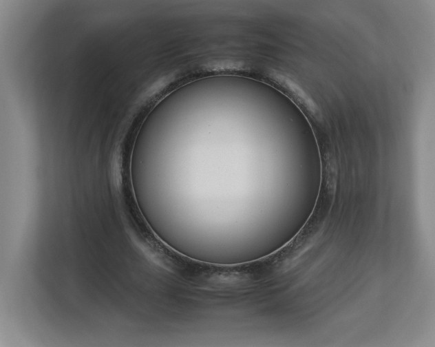 X0000113110631200909041247