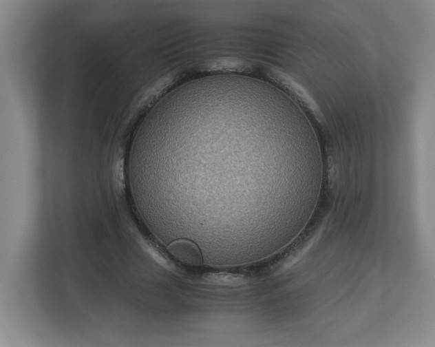 X0000113110633200909041247
