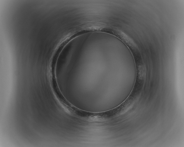 X0000113110634200909041247