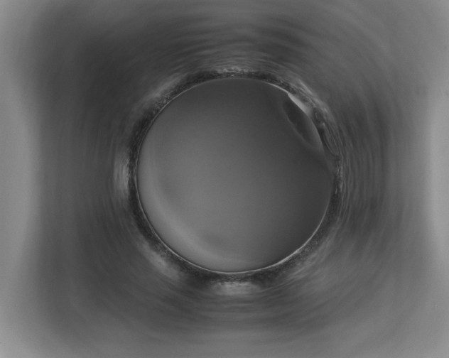 X0000113110637200909041247