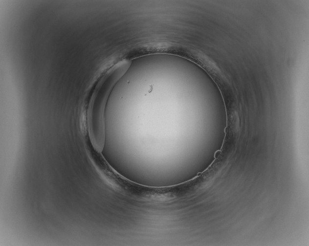 X0000113110638200909041247