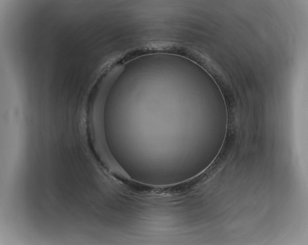 X0000113110640200909041247