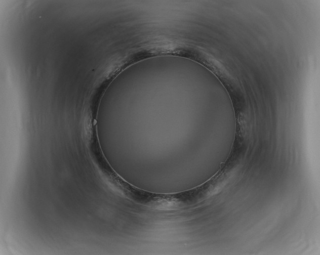X0000113110642200909041247