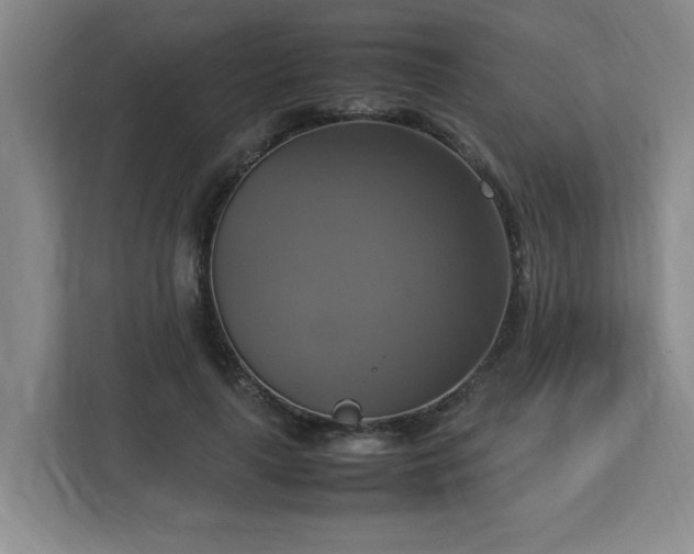 X0000113110643200909041247